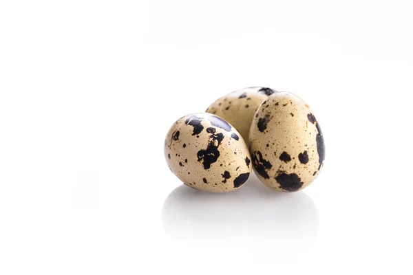 有機ウズラの卵 — ストック写真