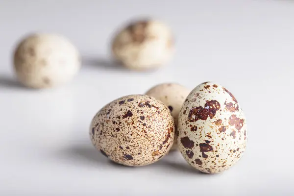 Huevos de ave de codorniz ecológica — Foto de Stock