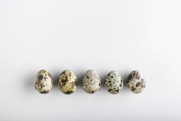 Huevos ecológicos de codorniz — Foto de Stock