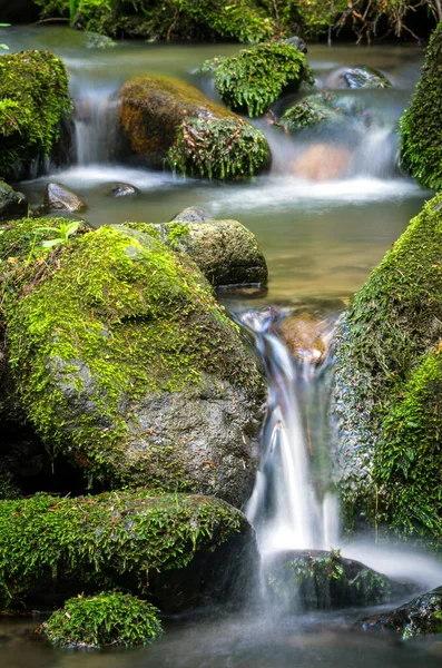 Corriente de montaña — Foto de Stock