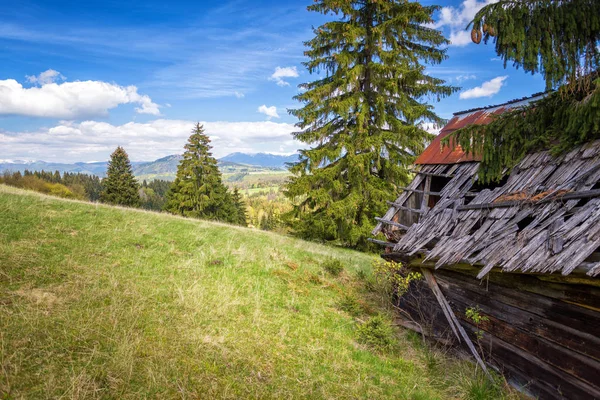 Vista de la pradera de montaña en la slovakia — Foto de Stock