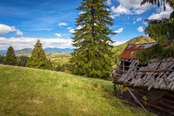 Vista de la pradera de montaña en la slovakia — Foto de Stock