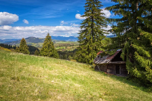 Vista de la pradera de montaña en la slovakia — Foto de Stock