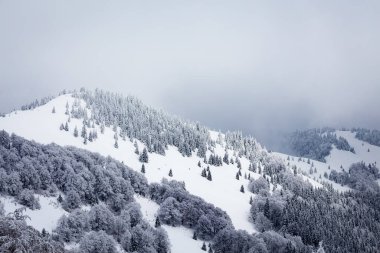 Karlı ve sisli dağ