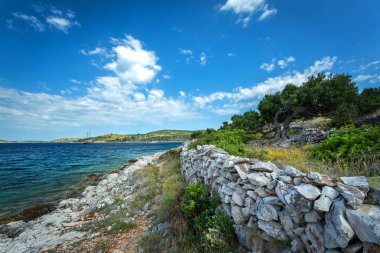 Hırvat adasında eski zeytin bahçeleri