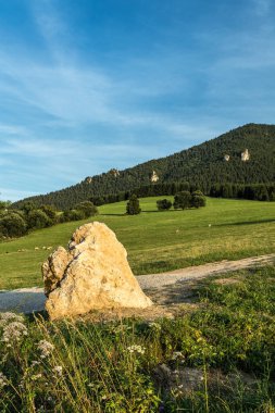 Slovakya 'daki dağlık çayırlar ve otlaklar