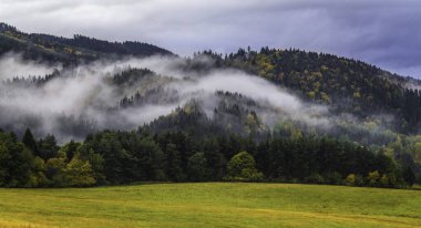Sis ve renkli ağaçlar - Slovakya 'da sonbahar