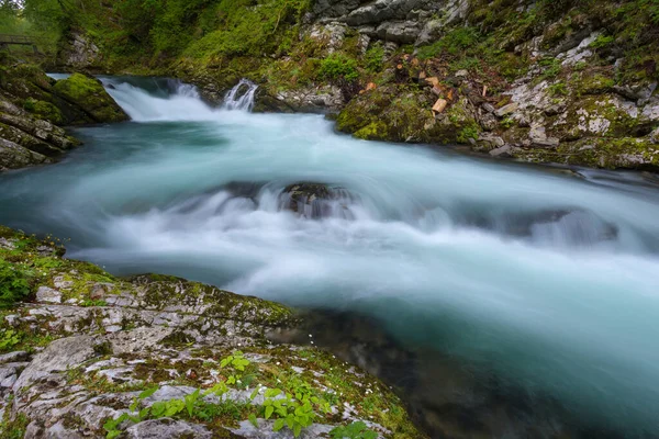 Soteska Vintgar in the river Radovna — Stock Photo, Image