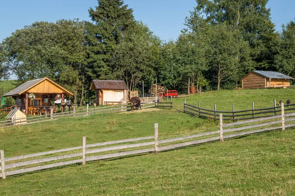 Prados y pastos de montaña en Eslovaquia — Foto de Stock