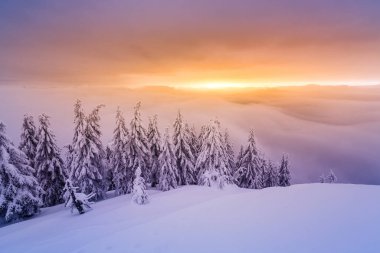 Sabah karlı dağlar