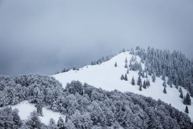 Karlı ve sisli dağ