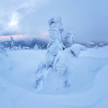 Karlı dağlar bir üçlü