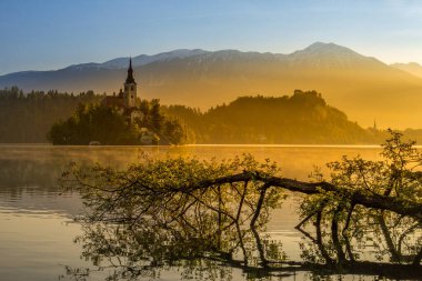 Slovenya, Varsayım Kilisesi ile Bled Gölü ve ada. Sihirli gün doğumu.