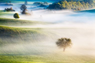 Ponicka Huta (Slovakya)