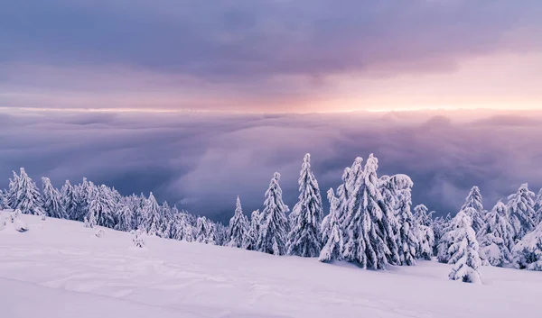 Morning snowy mountains — Stock Photo, Image