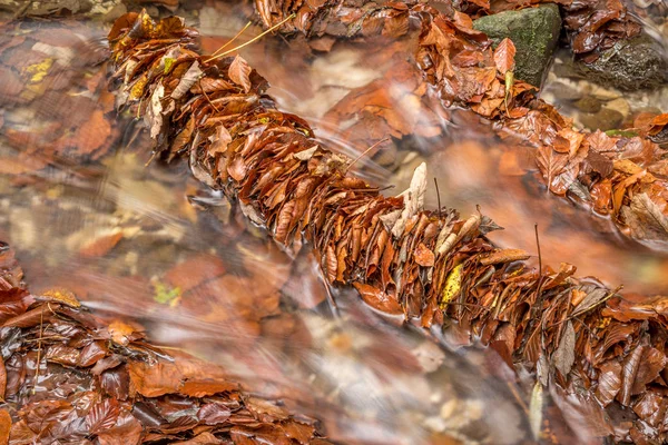 Corriente de montaña con cascadas — Foto de Stock