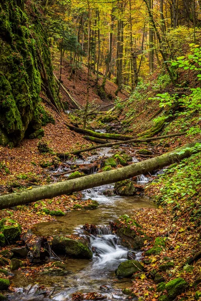 Mountain stream with waterfalls — Stock Photo, Image