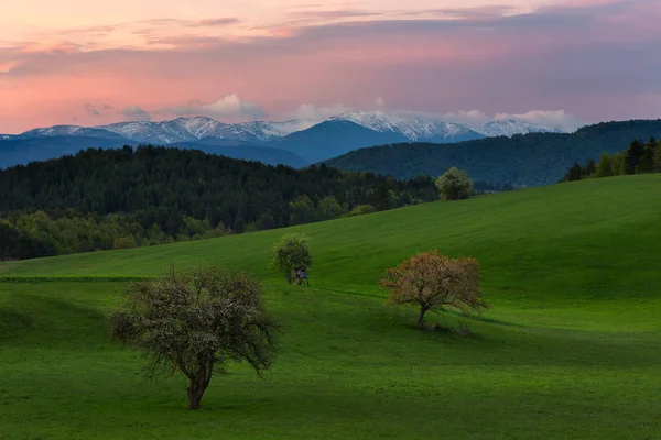 Avrupa 'nın göbeğindeki dağlık arazi ve çayır manzarası — Stok fotoğraf