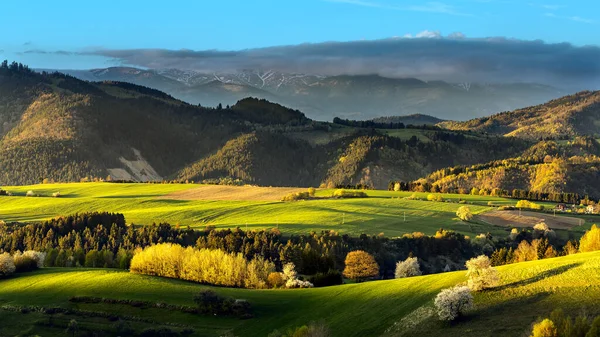 Vue sur champ de montagne et prairie au coeur de l'Europe — Photo