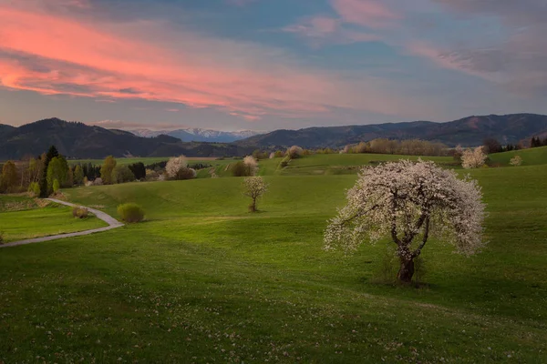 Vue sur champ de montagne et prairie au coeur de l'Europe — Photo