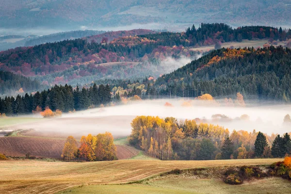 Blick auf Bergfeld und Wiese im Herzen Europas — Stockfoto