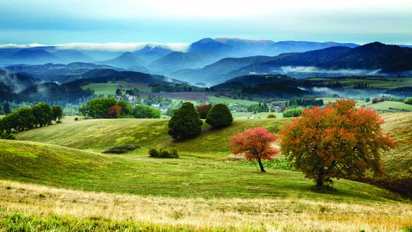 Brouillard et arbres colorés - automne en Slovaquie — Photo