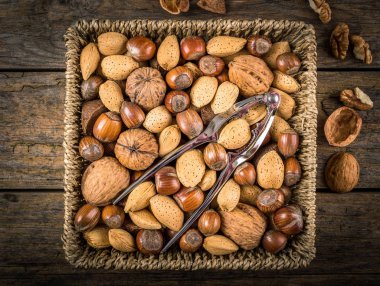 Çelik fındıkkıran ve fındık 