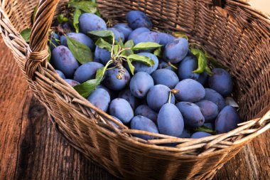 Tahta bir masada erik dolu sepet.