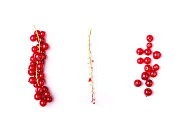 Beyaz arka planda sapı olan bir grup kırmızı frenk üzümü.