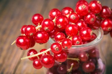 Cam bir fincanda kırmızı frenk üzümü demeti.