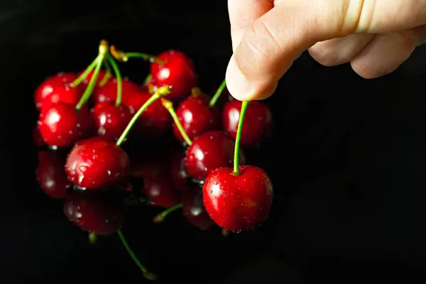 Group dew-covered cherries with reflection — Stock Photo, Image