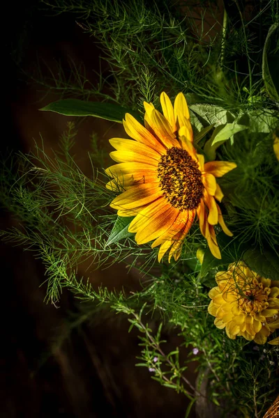 Flores girasol amarillo y rojo —  Fotos de Stock