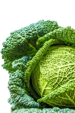 Savoy cabbage on the white background