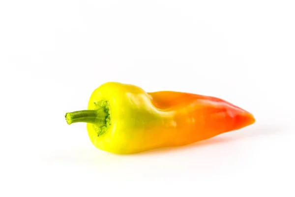 Pepper on a white background — Stock Photo, Image