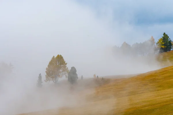 Ködös Kilátás Dolomitok Rétjeire Eső Után — Stock Fotó