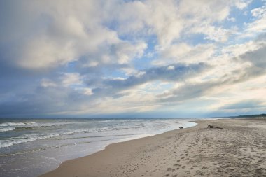 Tahta kütük ve bulutlu gökyüzü ile Baltık kıyıları