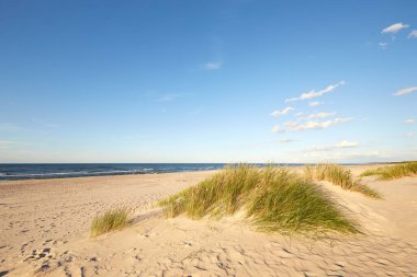 Slovinski Ulusal Parkı, Leba Baltık kıyılarında kum tepeciği
