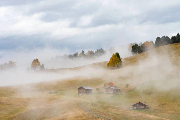 Een Mistig Uitzicht Weiden Dolomieten Regen — Stockfoto