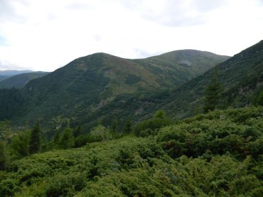 Ukrayna'nın Karpat Dağları