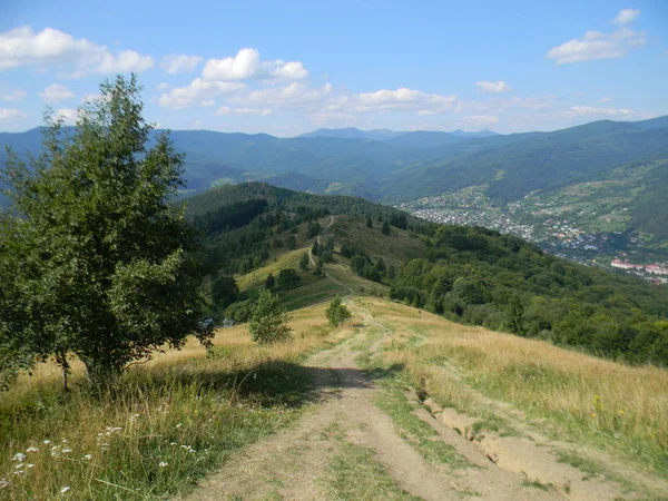 Camino Las Montañas Cárpatas — Foto de Stock