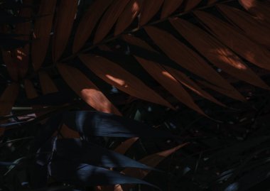 Taze yeşil yapraklardan yapılmış mavi sarı modern arka plan. AD tasarımınız için yaratıcı arkaplan.