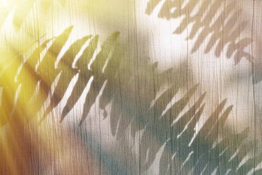 Fern gölge pamuk perde üzerinde