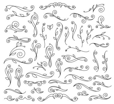 Set çiçek tasarımı öğesi. Vektör çizim.