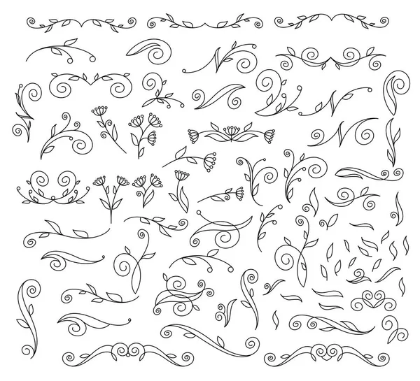 Set élément de conception florale. Illustration vectorielle . — Image vectorielle