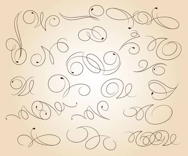 Collection Swirls Vector Illustration Brown Beige — Stock Vector
