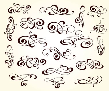 Tasarımın zarif kaydırma ögeleri. Vektör illüstrasyonu.