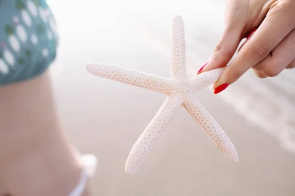 Mujer sosteniendo estrellas de mar en la playa —  Fotos de Stock