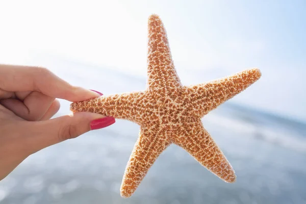 Kvinna som håller sjöstjärna på stranden — Stockfoto