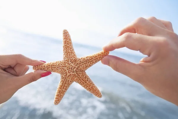 Mãos de casal segurando estrela do mar na praia — Fotografia de Stock