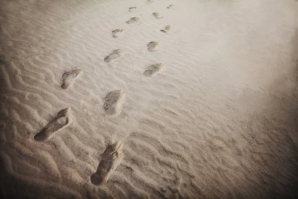 Voetafdrukken in het zand op het strand — Stockfoto